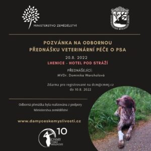 Veterinární péče o psa